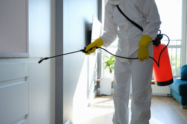 Professional Mold Remediation in Rowlett, TX